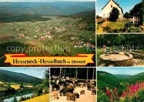 AK / Ansichtskarte Hesselbach Odenwald Fliegeraufnahme Wildpark Kat. Hesseneck