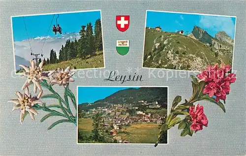 AK / Ansichtskarte Leysin Sessellift Alpenpanorama Alpenflora Edelweiss Kat. Leysin