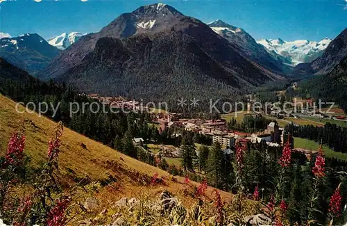 AK / Ansichtskarte Pontresina Panorama mit Piz Palue und Roseggletscher Berninagruppe Kat. Pontresina