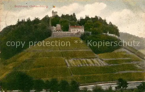 AK / Ansichtskarte Ortenberg Baden Schloss Ortenberg Kat. Ortenberg