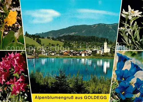 AK / Ansichtskarte Goldegg Panorama Azaleen Edelweiss Enzian Kat. Goldegg am See