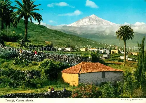 AK / Ansichtskarte Tenerife Panorama Kat. Islas Canarias Spanien