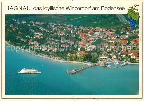 AK / Ansichtskarte Hagnau Bodensee Fliegeraufnahme mit Hafen Seebruecke Winzerdorf Kat. Hagnau am Bodensee