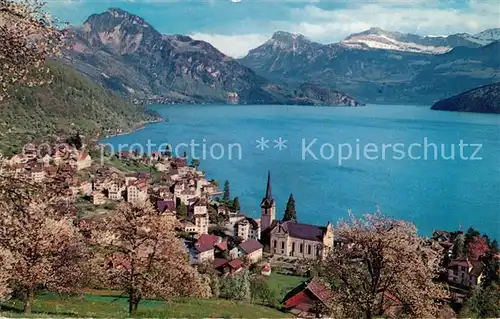 AK / Ansichtskarte Weggis Vierwaldstaettersee Gesamtansicht mit Alpenpanorama Vitznauerstock Niederbauen Oberbauen