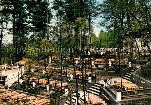 AK / Ansichtskarte Ibbenbueren Sommerrodelbahn Maerchenwald Kat. Ibbenbueren