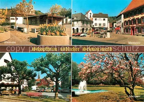 AK / Ansichtskarte Schopfheim Stadthalle Marktplatz Viehmarkt Stadtpark Baumbluete Kat. Schopfheim