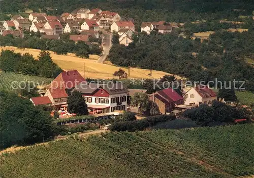 AK / Ansichtskarte Frauenstein Wiesbaden Fliegeraufnahme Gaststaette Weingut Hof Nuernberg Kat. Wiesbaden