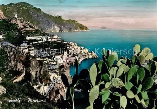 AK / Ansichtskarte Amalfi Panorama Kueste Kaktus Kat. Amalfi