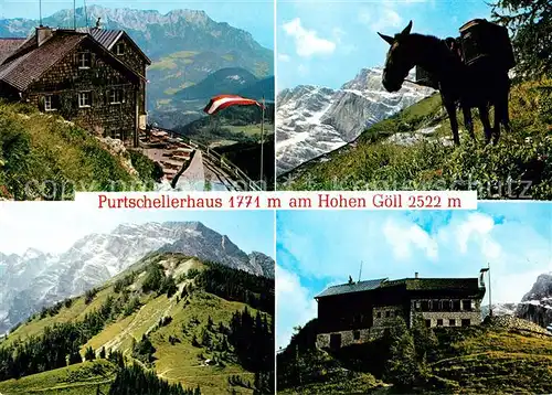 AK / Ansichtskarte Purtscheller Haus Berghaus am Hohen Goell Berchtesgadener Alpen Huettenmuli Lasttier Kat. Berchtesgaden