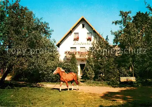 AK / Ansichtskarte Braunetsrieth Restaurant Pension Lindenhof Kat. Vohenstrauss