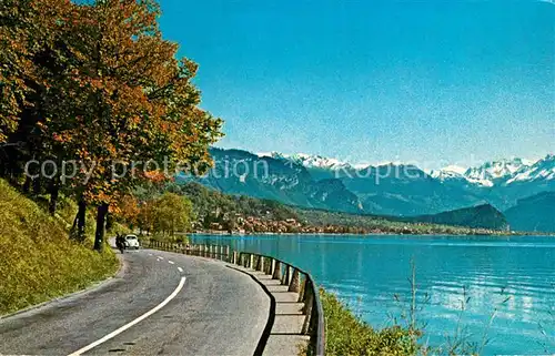 AK / Ansichtskarte Brienzersee BE Panorama Kat. Brienz