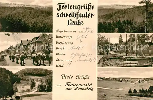 AK / Ansichtskarte Frauenwald Thueringen Kuhherde Springbrunnen Panoramen Kat. Frauenwald