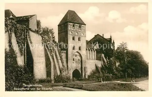 AK / Ansichtskarte Tangermuende Rosspforte von der Elbseite Kat. Tangermuende