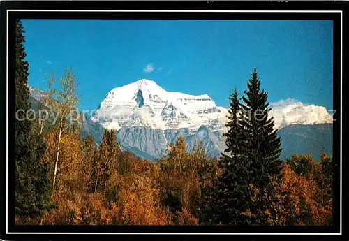 AK / Ansichtskarte Mount Robson Automn colours Canadian Rockies