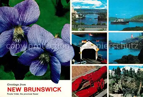 AK / Ansichtskarte New Brunswick Nouveau Brunswick The "Picture Province" Flowers Landscape Mountains Lake Seafood