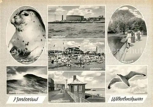 AK / Ansichtskarte Wilhelmshaven Seehund Strandhalle Kurpark Silbermoeve Kat. Wilhelmshaven