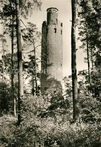 AK / Ansichtskarte Schildau Schildbergturm Kat. Schildau Gneisenaustadt