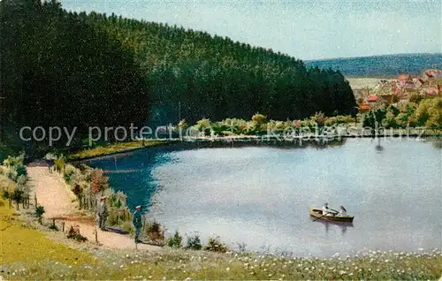 AK / Ansichtskarte Braunlage Am Rollieteich Kat. Braunlage Harz