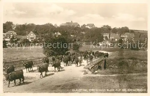 AK / Ansichtskarte Clausthal Zellerfeld Blick zur Bremerhoehe Viehauftrieb Kat. Clausthal Zellerfeld