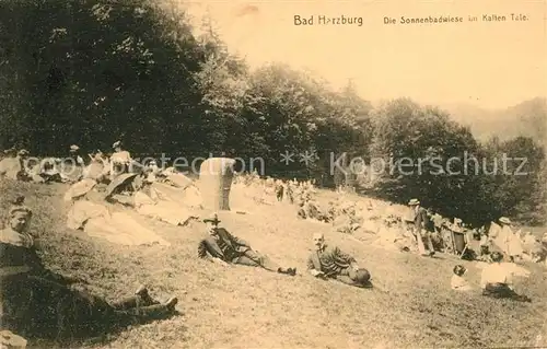 AK / Ansichtskarte Bad Harzburg Sonnenbadwiese im Kalten Tale Kat. Bad Harzburg