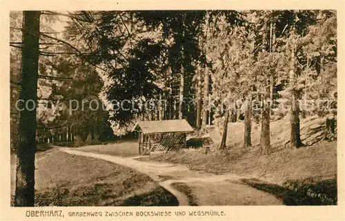 AK / Ansichtskarte Oberharz Region Grabenweg zwischen Bockswiese und Wegsmuehle