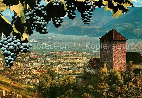 AK / Ansichtskarte Meran Merano Castel Tirolo Schloss Tirol Blick ins Tal Weintrauben