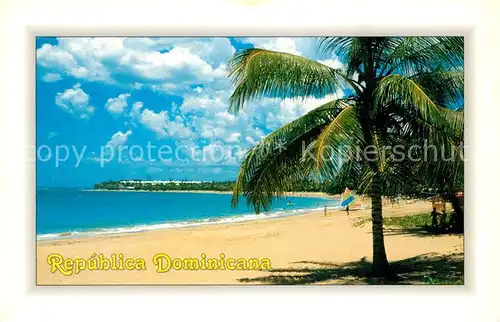 Dominikanische Republik Strand Palmen