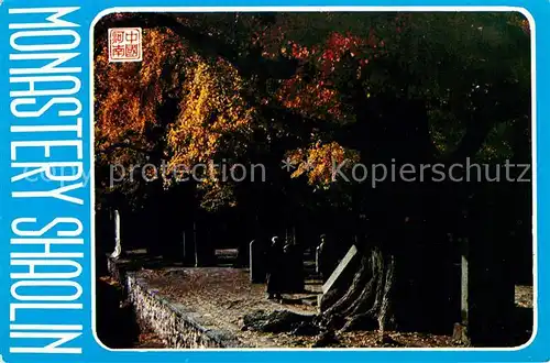 Dengfeng Monastery Shaolin Forest of Stele Kloster