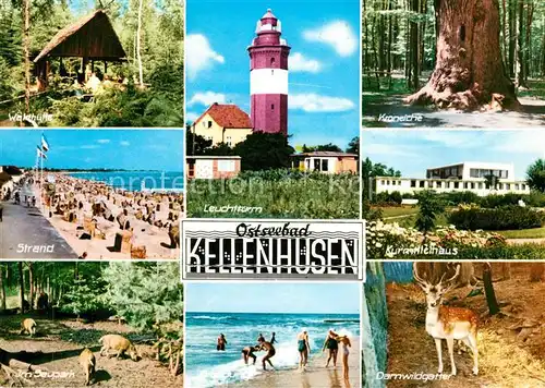 Kellenhusen Ostseebad Waldhuette Strand Tierpark Sauen Darmwild Kurmittelhaus Leuchtturm Kroneiche Kat. Kellenhusen (Ostsee)