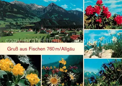 Fischen Allgaeu Gesamtansicht mit Alpenpanorama Alpenflora Edelweiss Enzian Kat. Fischen i.Allgaeu
