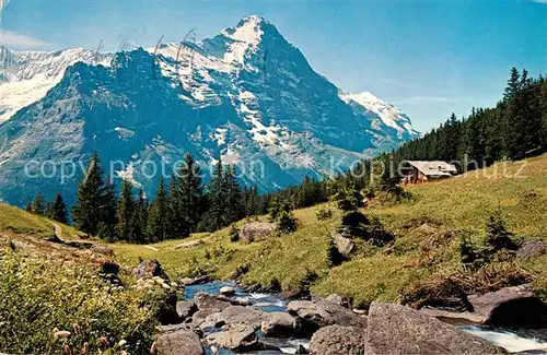 Grindelwald Firstgebiet Eiger Kat. Grindelwald