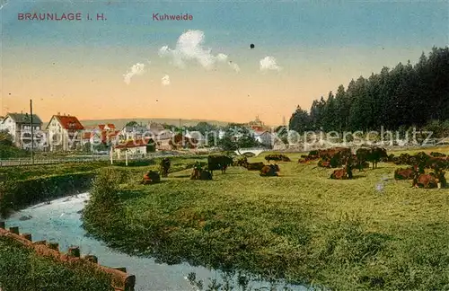 Braunlage Kuhweide Kat. Braunlage Harz