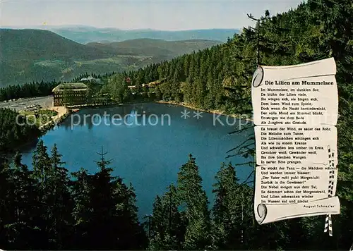 AK / Ansichtskarte Mummelsee Berghotel  Kat. Seebach