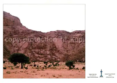 AK / Ansichtskarte Al Quassem Tukhfah Mountains Landschaftspanorama Berge