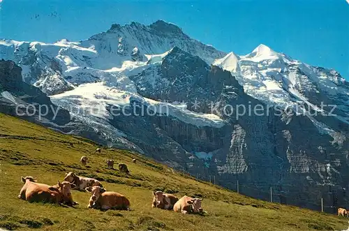 AK / Ansichtskarte Jungfrau BE Panorama Kat. Jungfrau