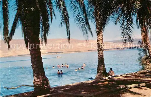 AK / Ansichtskarte See Genezareth Palmen Strand Kat. Israel