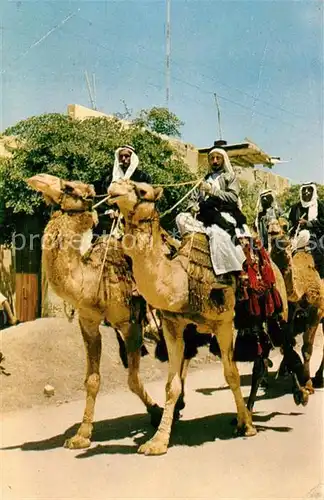 AK / Ansichtskarte Beersheba Beduinen auf Kamele