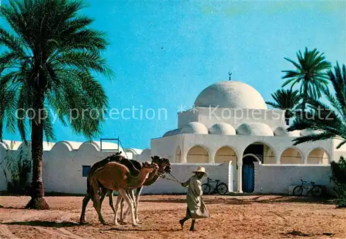AK / Ansichtskarte Djerba Moschwe von Maboubine Camele Kat. Djerba