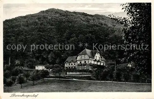 AK / Ansichtskarte Siebengebirge Hotel Loewenburgerhof Kat. Koenigswinter