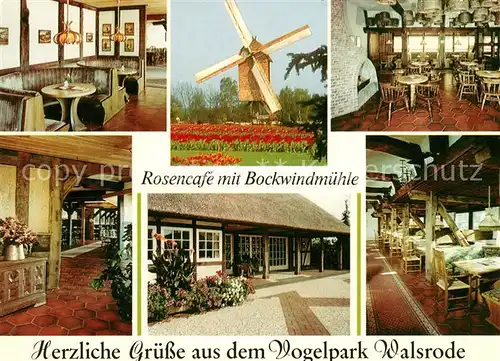 AK / Ansichtskarte Walsrode Lueneburger Heide Vogelpark Rosencafe Bockwindmuehle Kat. Walsrode