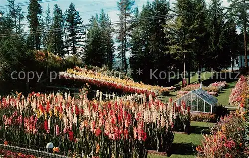 AK / Ansichtskarte British Columbia Kimerley Cominco Garden