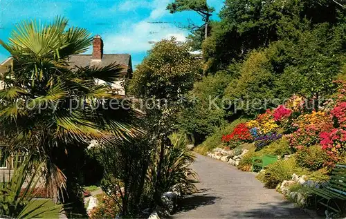 AK / Ansichtskarte Exmouth Town Madeira Walk Palmtrees Flowers Kat. East Devon