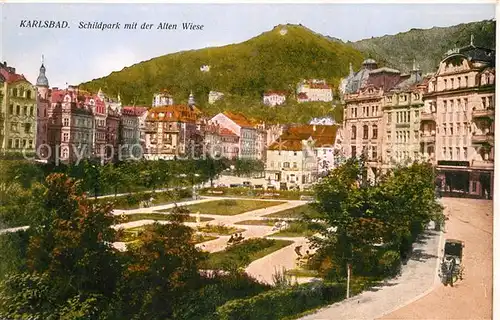 AK / Ansichtskarte Karlsbad Eger Schildpark mit der Alten Wiese