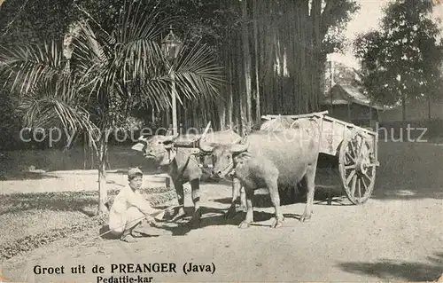 AK / Ansichtskarte Bandung Preanger Kuhkarren Kat. Bandung Bandoeng