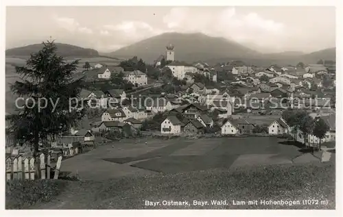 AK / Ansichtskarte Lam Oberpfalz Panorama Hoherbogen Kat. Lam