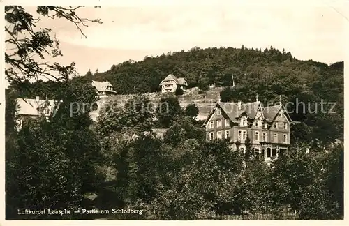 AK / Ansichtskarte Laasphe Bad Partie am Schlossberg Kat. Bad Laasphe