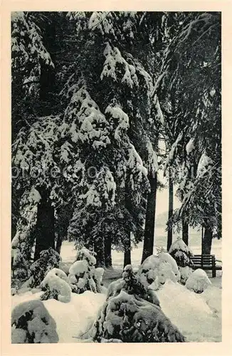 AK / Ansichtskarte Koenigsfeld Schwarzwald Winteridyll Kat. Koenigsfeld im Schwarzwald