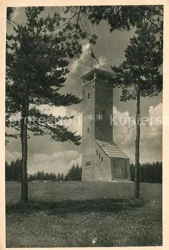 AK / Ansichtskarte Raichberg Onstmettingen Aussichtsturm beim Naegelehaus Kat. Albstadt