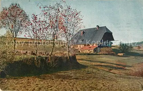 AK / Ansichtskarte Schwarzwald Bauernhaus Kat. Regionales