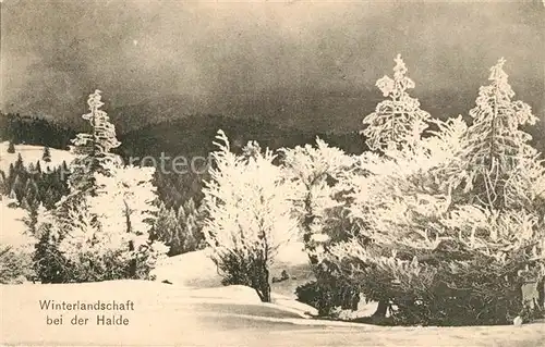AK / Ansichtskarte Halde Winterlandschaft Kat. Biberach an der Riss